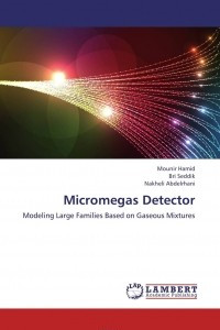 Книга Micromegas Detector