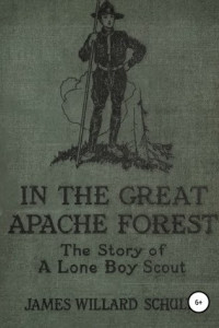 Книга В Великом лесу апачей