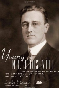 Книга Young Mr. Roosevelt: FDR's Introduction to War, Politics, and Life