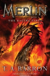Книга The Raging Fires