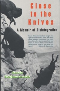 Книга Close to the Knives: A Memoir of Disintegration