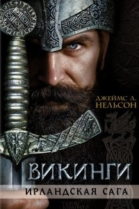 Книга Викинги. Ирландская сага