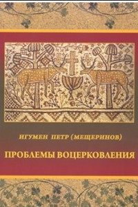 Книга Проблемы воцерковления