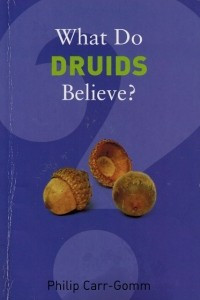 Книга What Do Druids Believe?