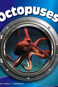 Книга Octopuses