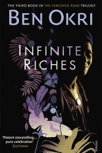 Книга Infinite Riches