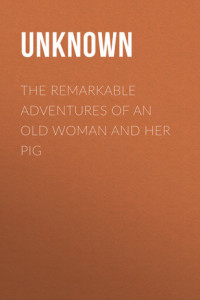 Книга The Remarkable Adventures of an Old Woman and Her Pig