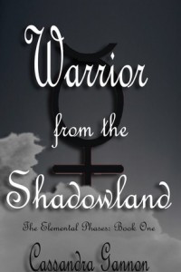 Книга Warrior from the Shadowland