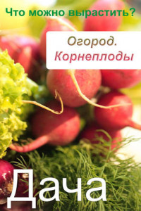 Книга Огород. Корнеплоды. Что можно вырастить?