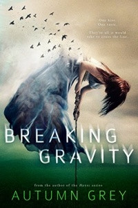 Книга Breaking Gravity