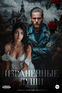 Книга Израненные души