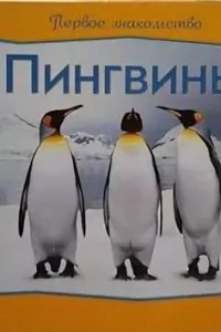 Книга Пингвины. Первое знакомство