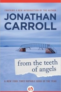 Книга From the Teeth of Angels