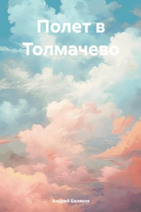 Книга Полет в Толмачево