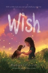 Книга Wish