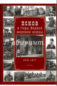 Книга Псков в годы Первой мировой войны. 1916-1917 гг.