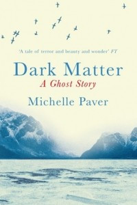 Книга Dark Matter