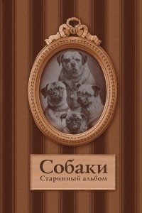 Книга Собаки: старинный альбом