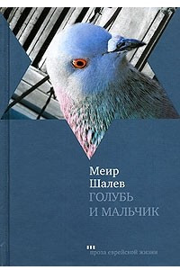 Книга Голубь и Мальчик