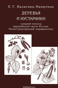 Книга Деревья и кустарники средней полосы европейской части России