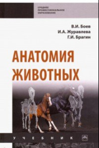 Книга Анатомия животных. Учебник