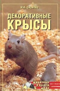 Книга Декоративные крысы