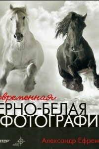 Книга Современная черно-белая фотография