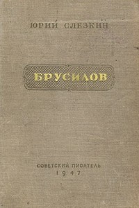Книга Брусилов