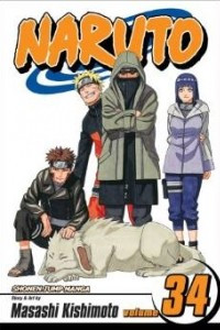 Naruto, Vol. 34: The Reunion