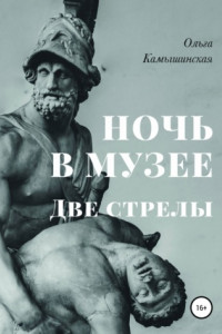 Книга Ночь в музее. Две стрелы