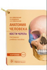 Книга Анатомия человека. Кости черепа. 23 карточки