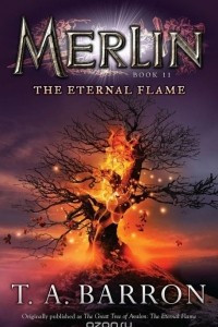 Книга The Eternal Flame