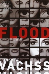 Книга Flood