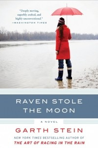 Книга Raven Stole the Moon