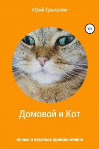 Книга Домовой и Кот