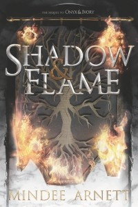 Книга Shadow & Flame