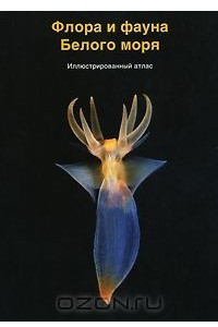 Книга Флора и фауна Белого моря. Иллюстрированный атлас