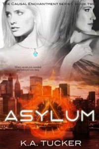 Книга Asylum