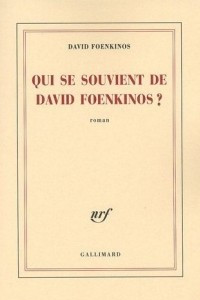 Qui se souvient de David Foenkinos?