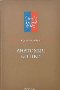 Книга Анатомия кошки