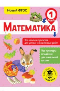 Книга Математика. 1 класс. Все цепочки примеров для устных и письменных работ. ФГОС