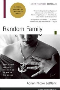 Книга Random Family: Love, Drugs, Trouble, and Coming of Age in the Bronx