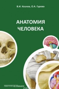 Книга Анатомия человека. Учебное пособие