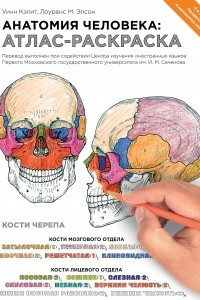 Книга Анатомия человека: атлас-раскраска