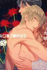 Книга Acid Town (5)