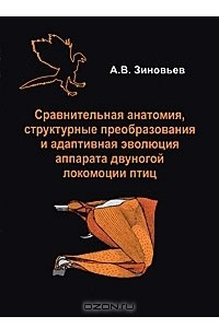 Книга Сравнительная анатомия, структурные преобразования и адаптивная эволюция аппарата двуногой локомоции птиц