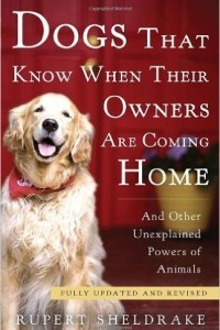 Книга Dogs That Know When Their Owners Are Coming Home