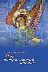 Книга Мой потрясающий космос