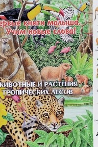 Книга Животные и растения тропических лесов
