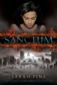 Книга Sanctum